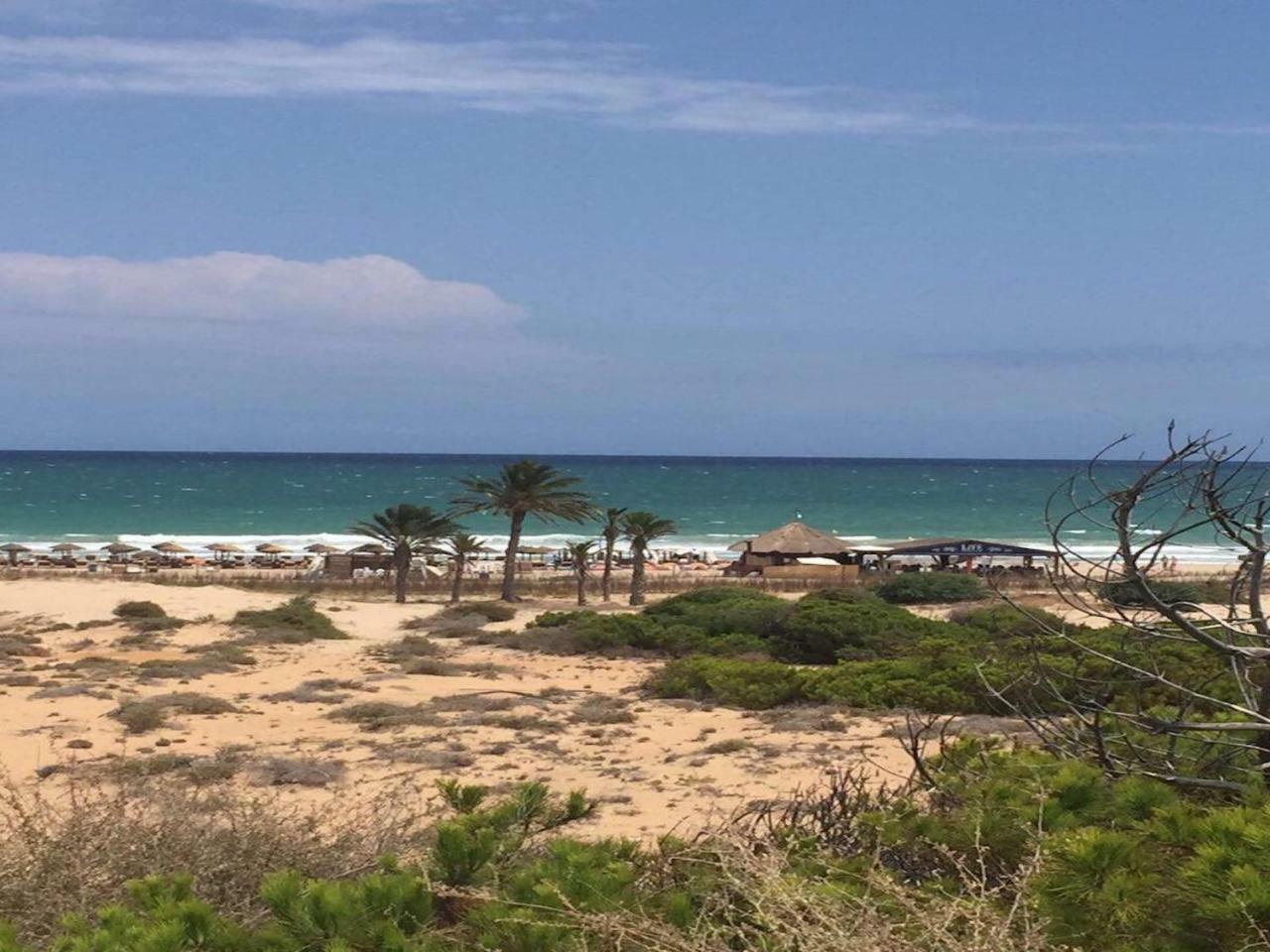 Arenales Del Sol 아파트 외부 사진